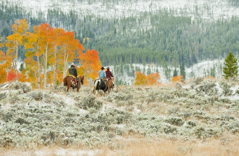 Horseback riders.