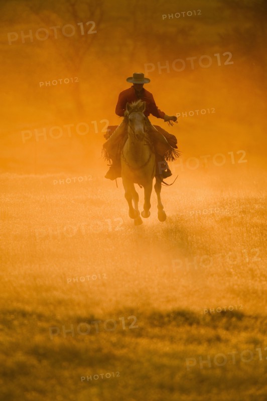 Horseback rider.