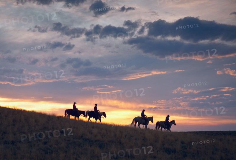 Horseback riders at sunset.