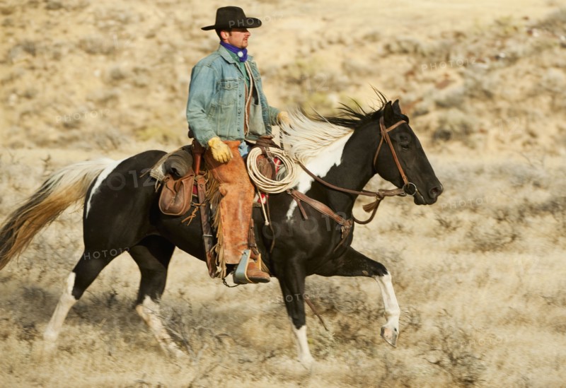 Horseback rider.