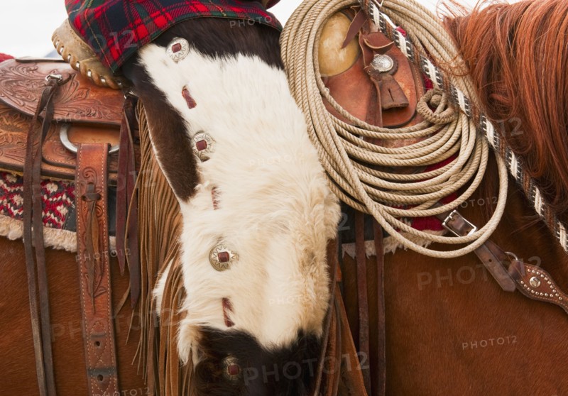 Cowboy on horse.