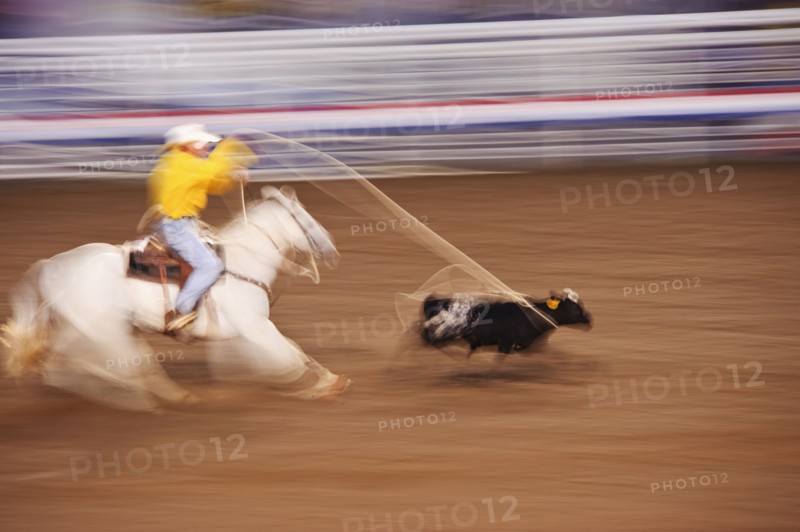 Calf roping
