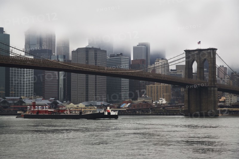 Bridge and cityscape