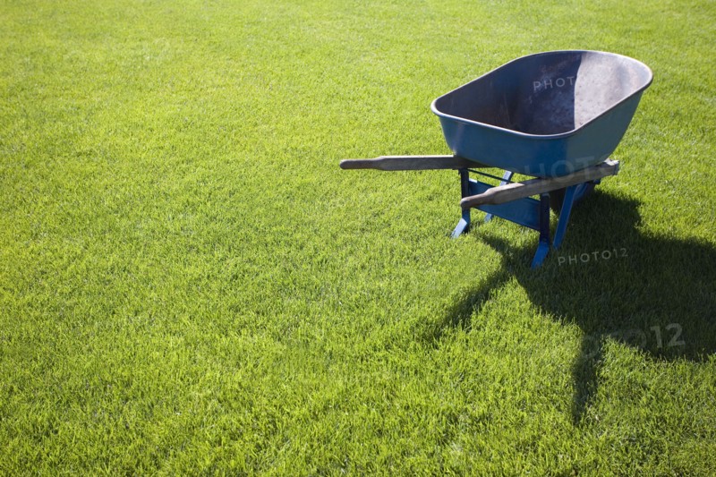 Wheelbarrow