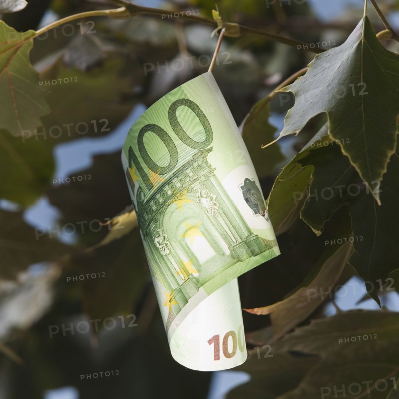 European currency growing on tree