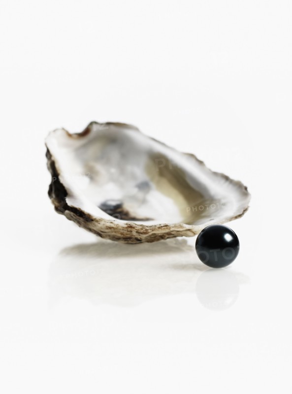 Oyster and pearl