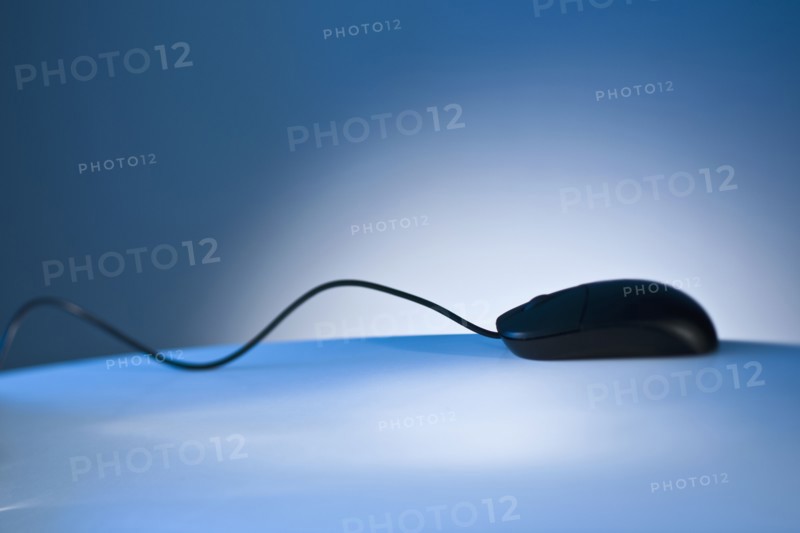 Computer mouse.