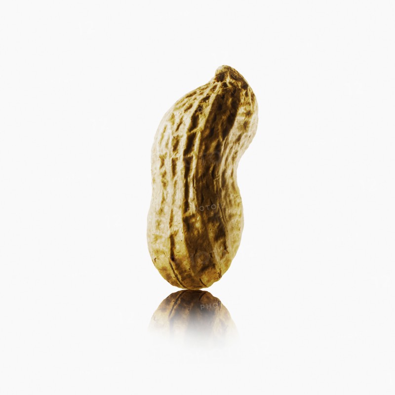 Peanut