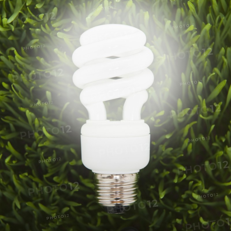 Flourescent light bulb in grass