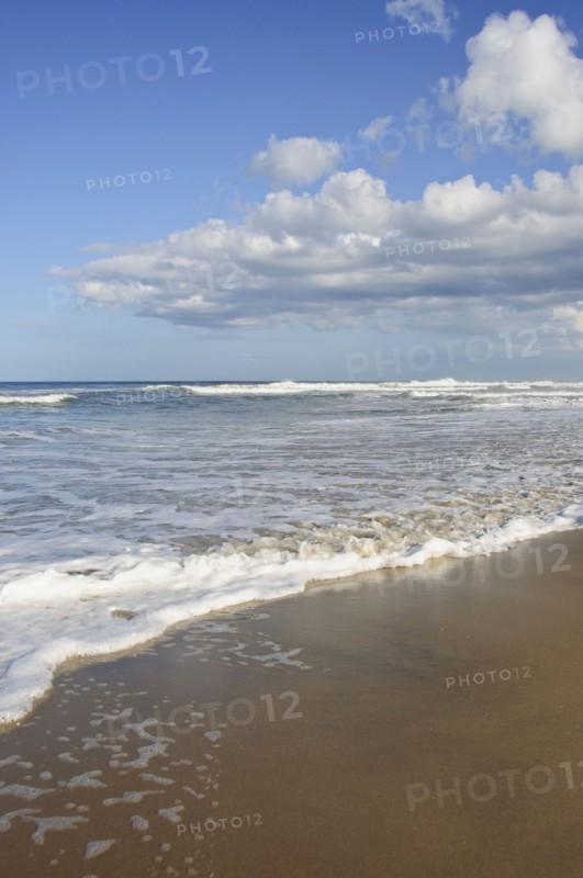Waves at the beach