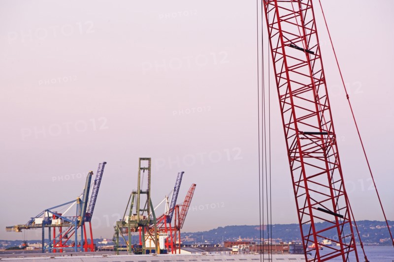 Cranes