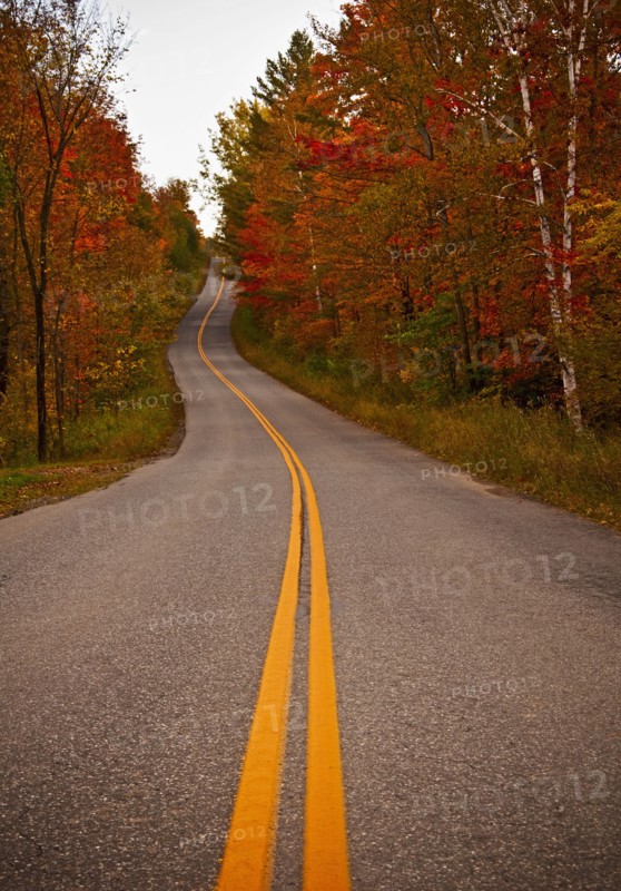 Road in autumn