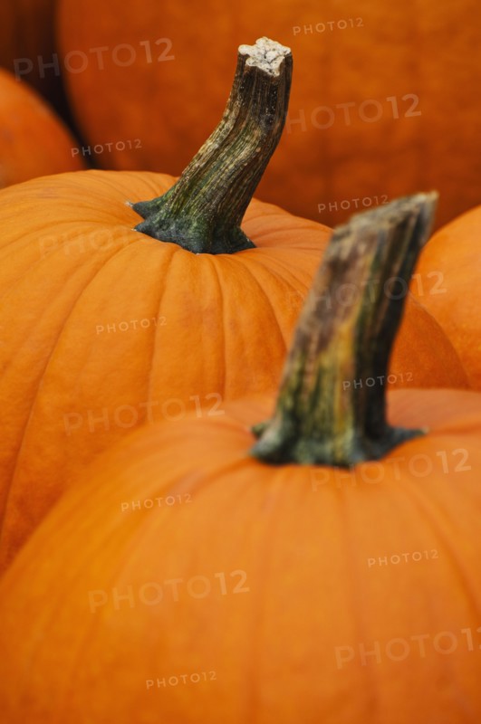 Pumpkins