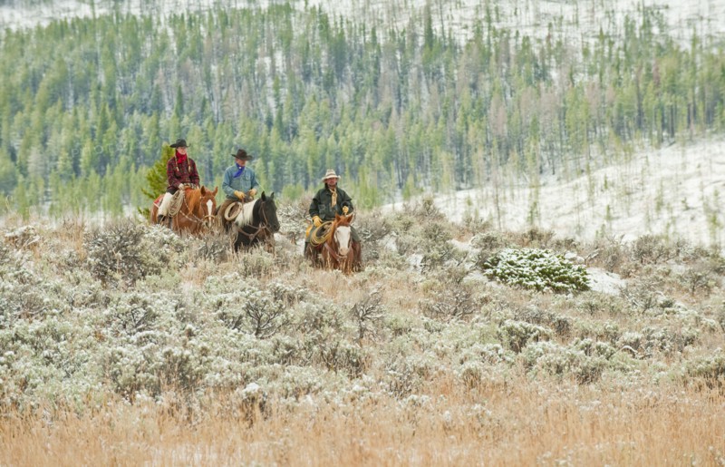 Horseback riders.