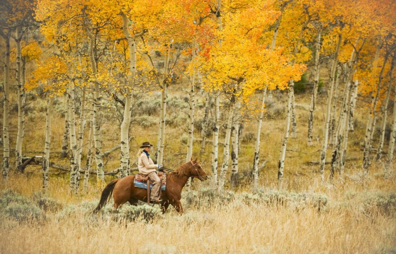 Horseback rider.