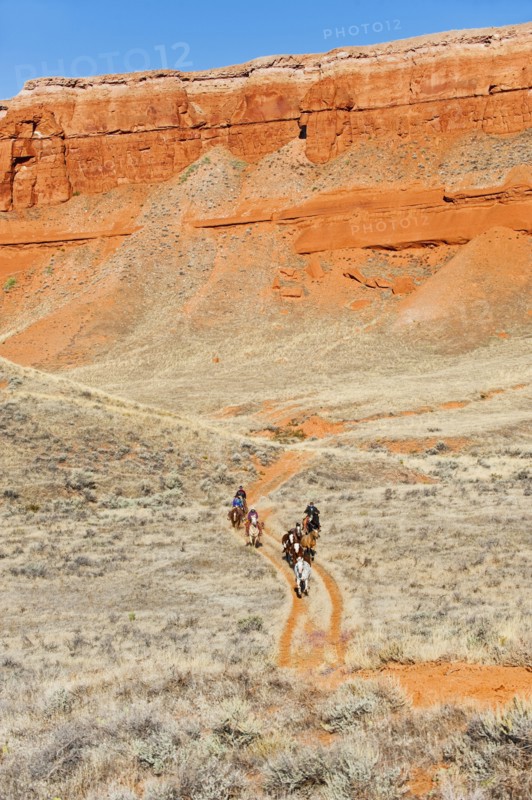 Horseback riders on trail.