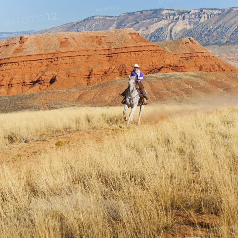 Horseback rider.