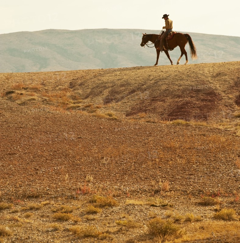 Horseback rider.