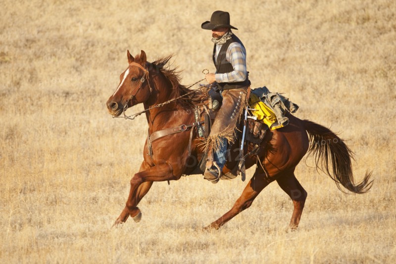 Horseback rider.