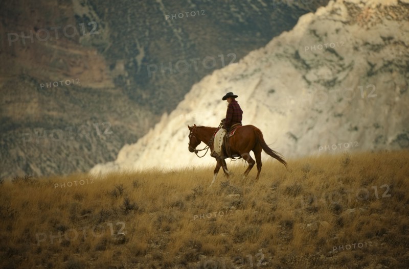 Horseback rider.