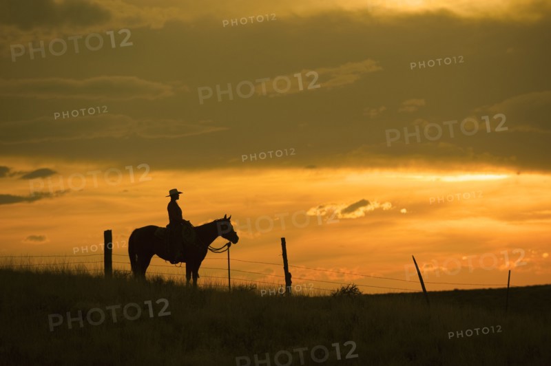 Horseback rider.