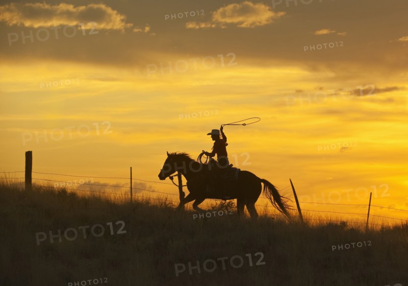 Horseback rider.