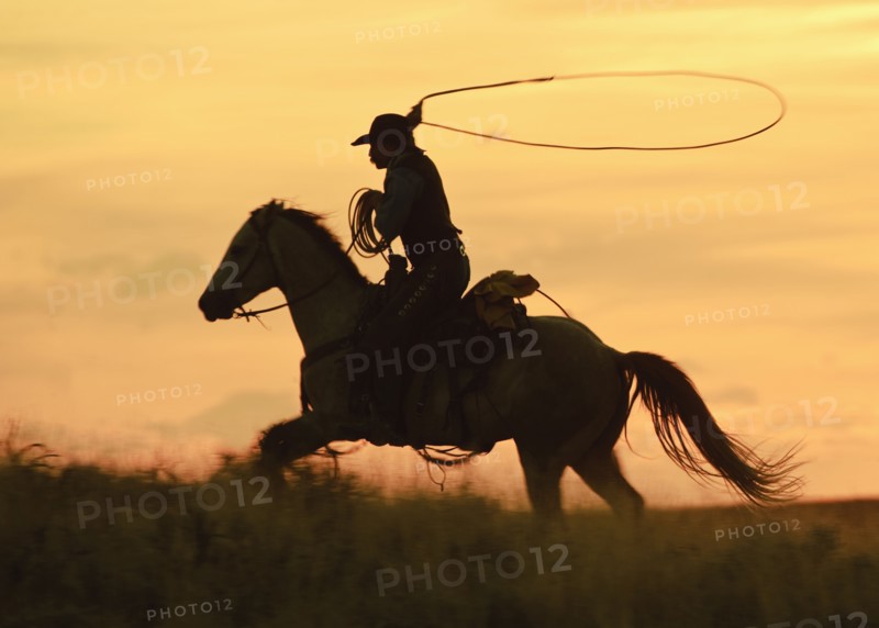 Horseback rider.