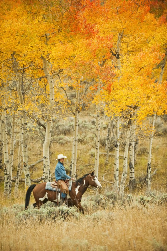 Horseback rider.