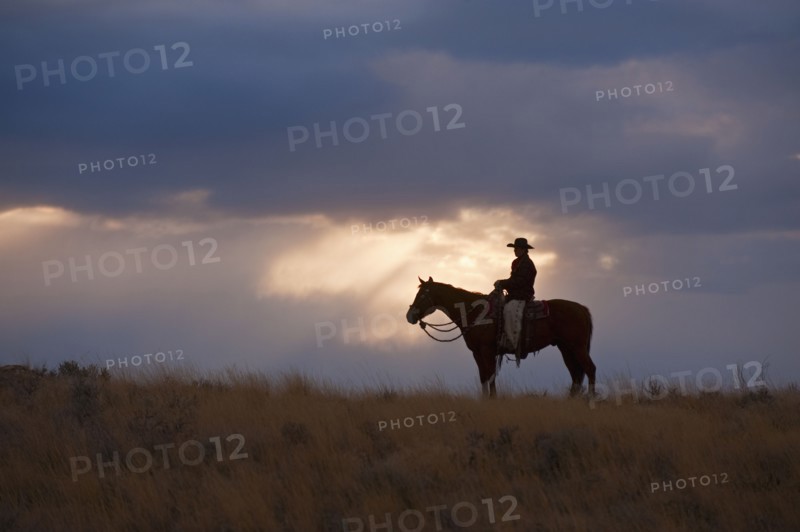 Horseback rider.