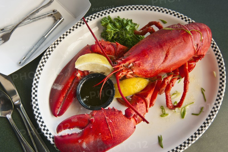 Lobster dinner.