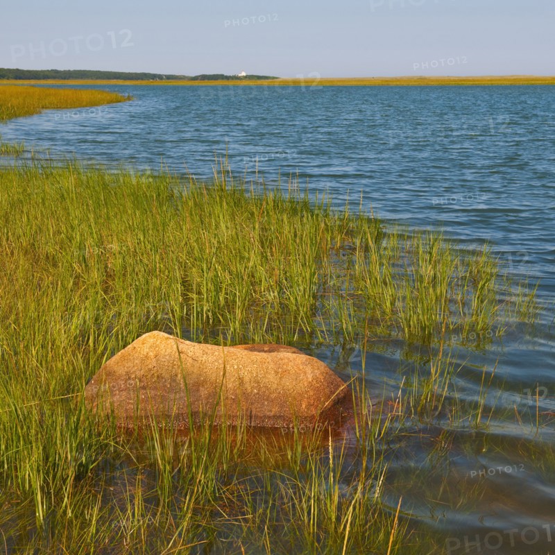Marsh.