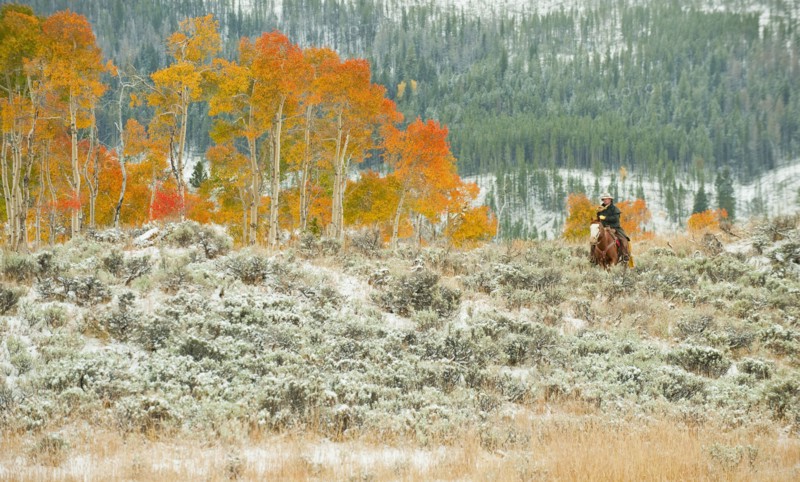 Horseback rider.