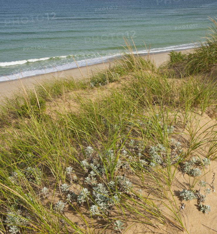Beach.