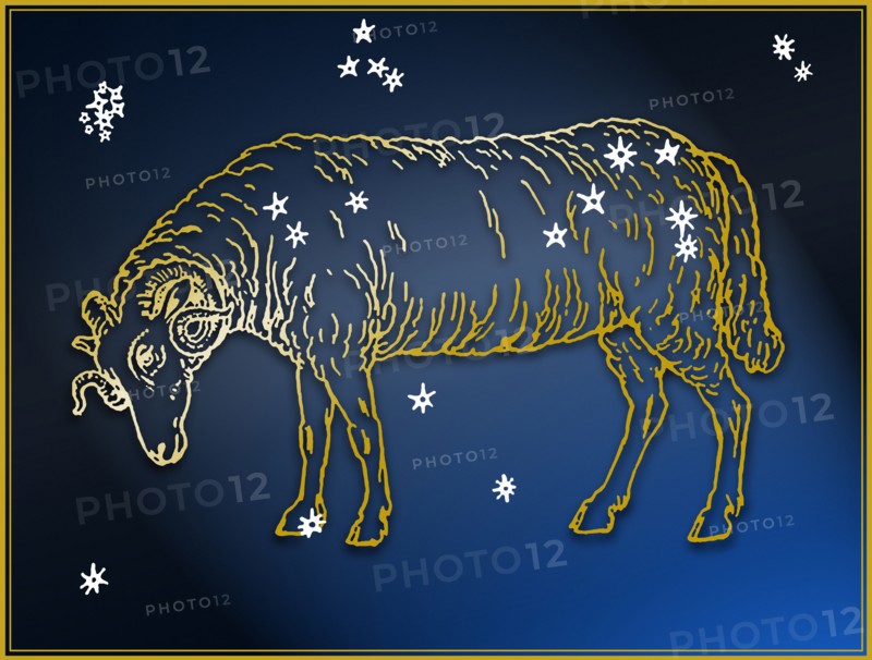 Ram.