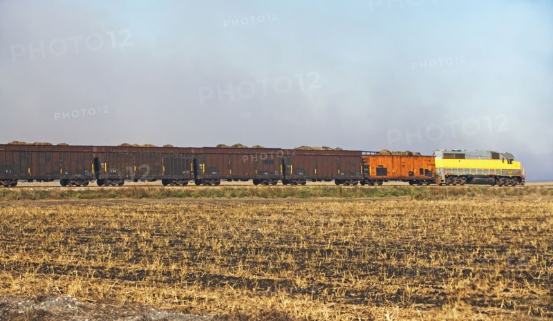Train. Photographer: fotog