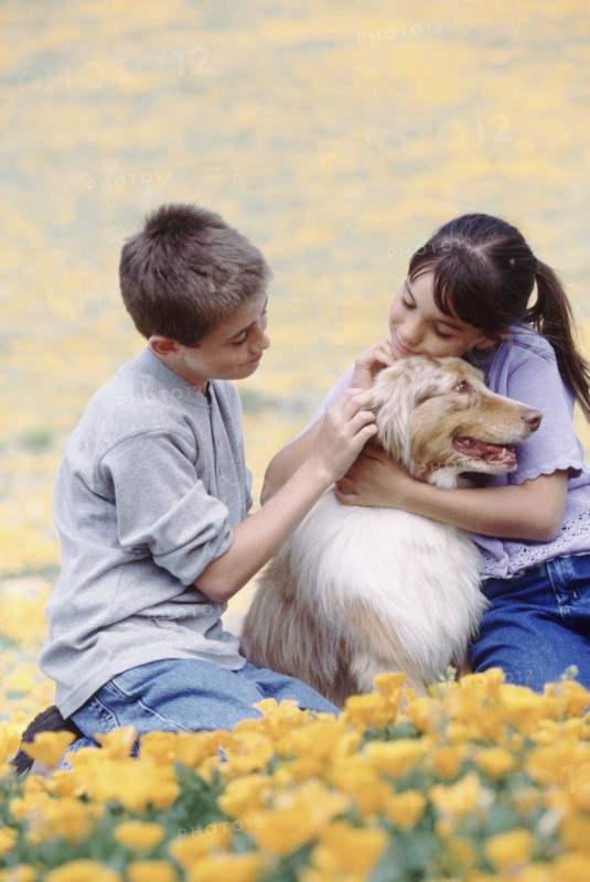 Children with dog in meadow. Photographer: Rob Lewine