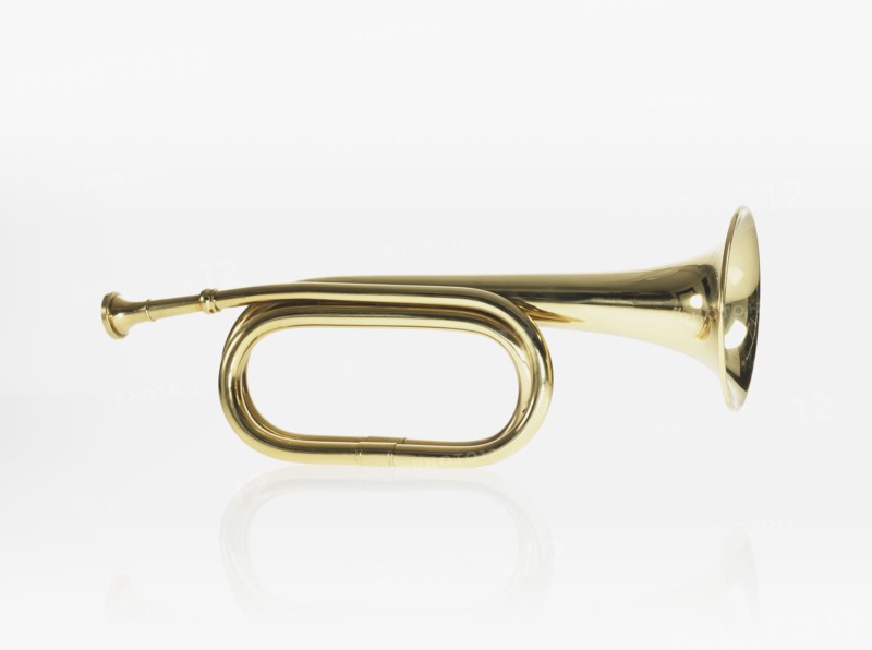 Bugle. Photographer: David Arky