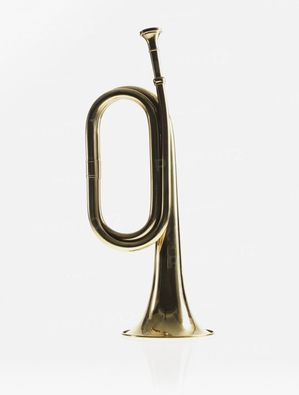 Bugle. Photographer: David Arky