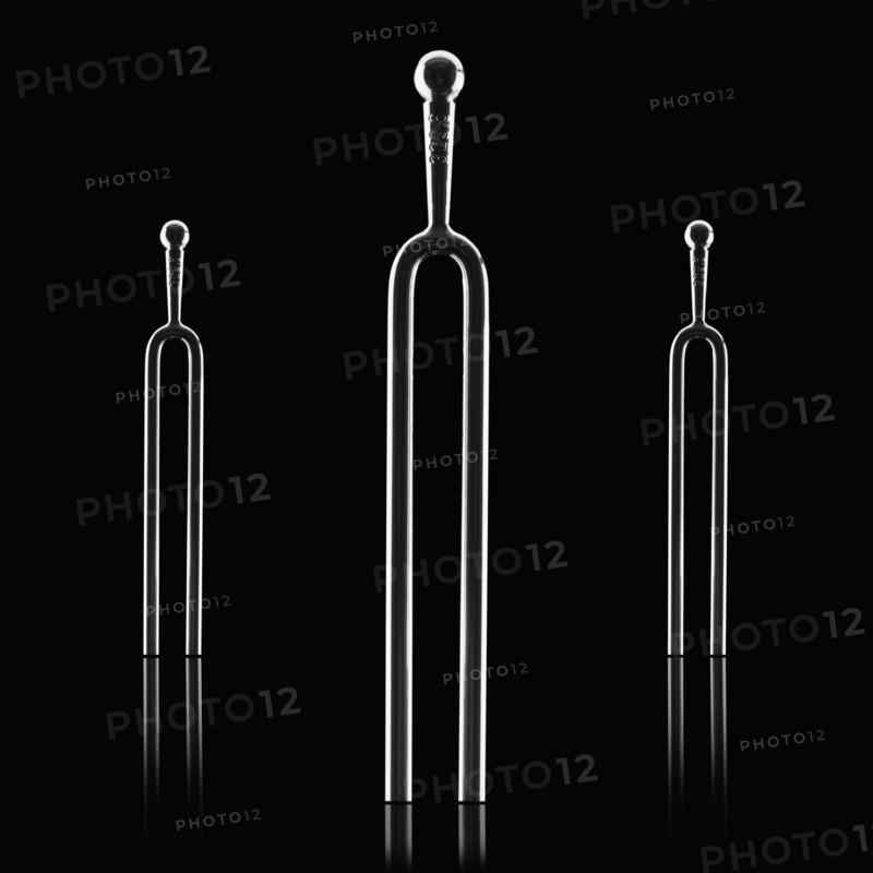 Tuning fork. Photographer: Mike Kemp