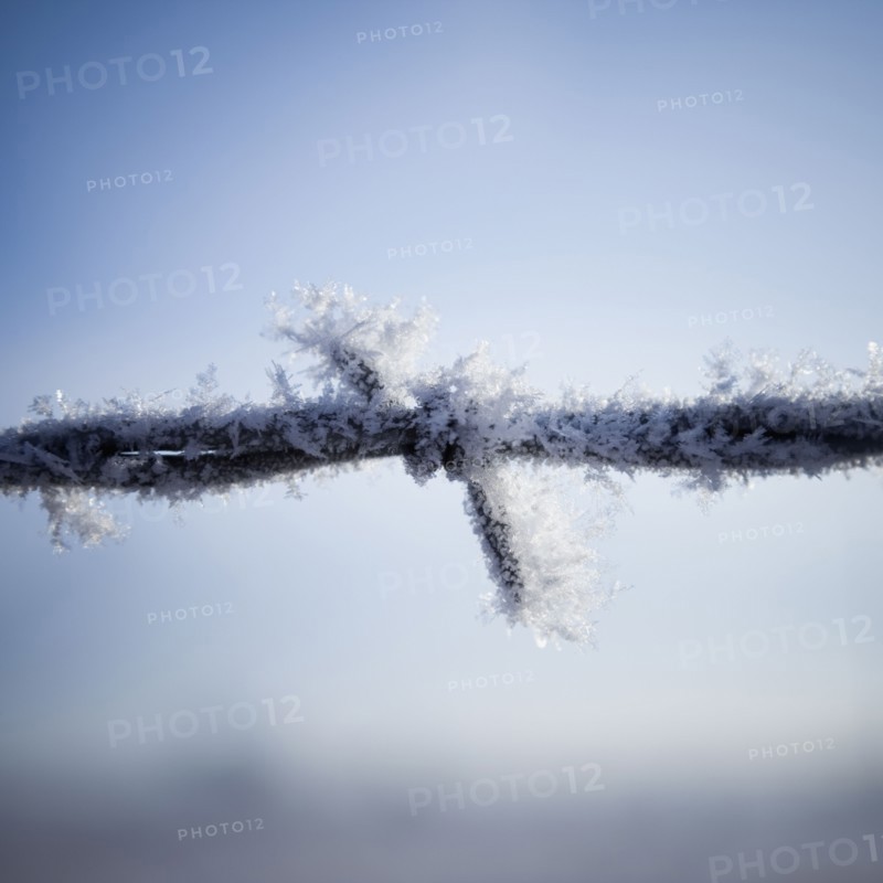 Frost on barbed wire. Photographer: Mike Kemp