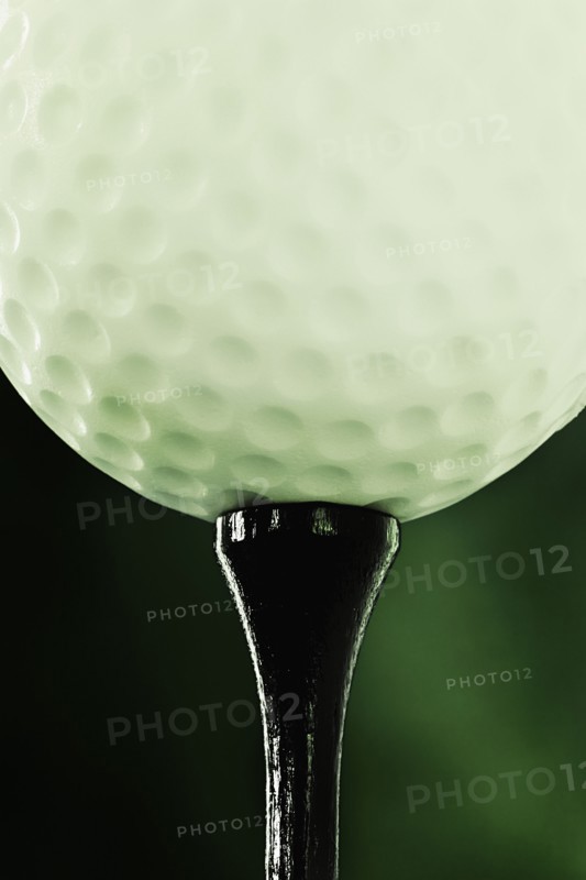 Golf ball on a tee. Photographer: Joe Clark