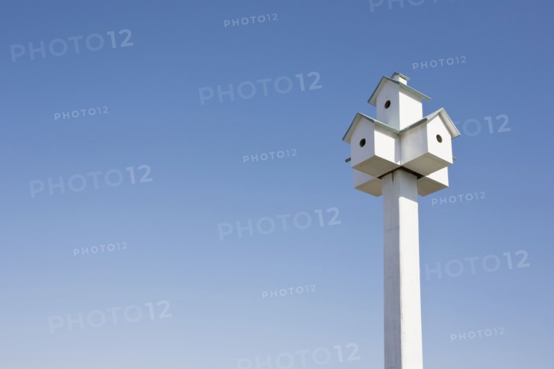 Bird houses. Photographer: Chris Hackett