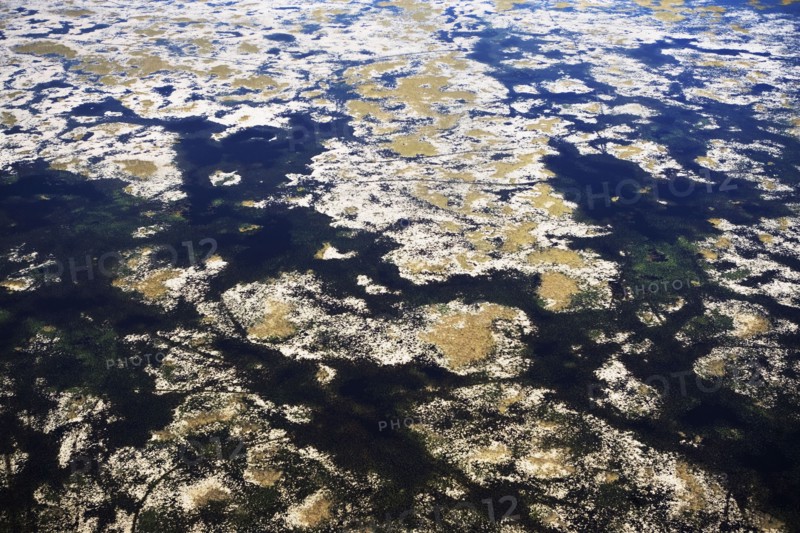 Aerial view of marsh. Photographer: fotog