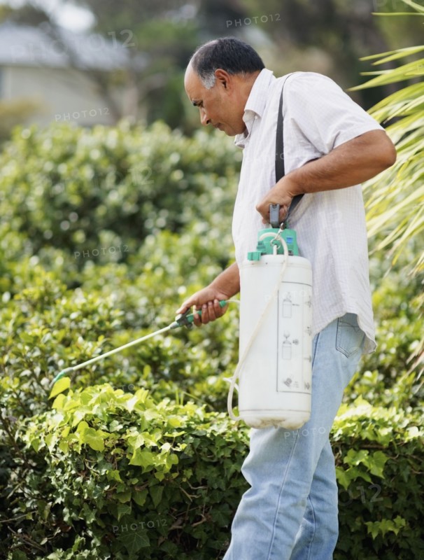 Man watering shrubs. Photographer: momentimages
