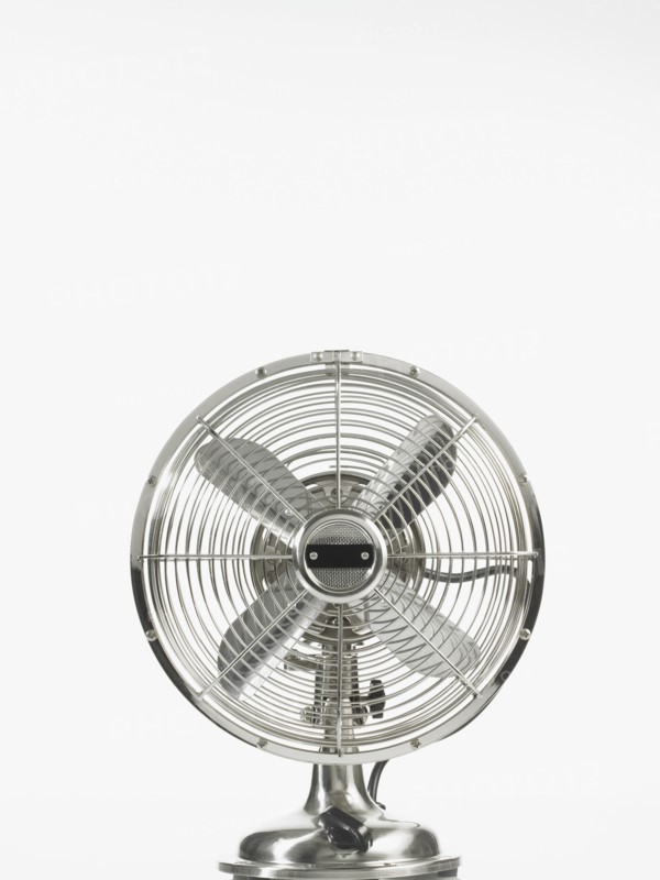 Fan. Photographer: David Arky