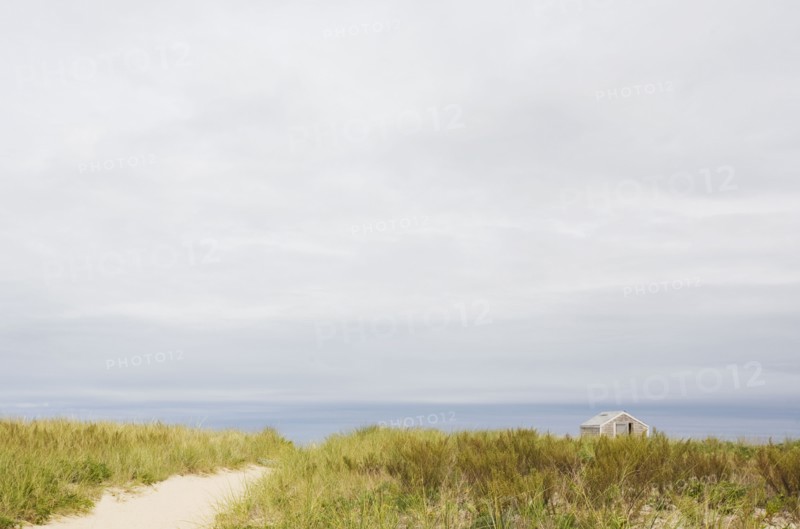 Path to the beach. Photographer: Chris Hackett