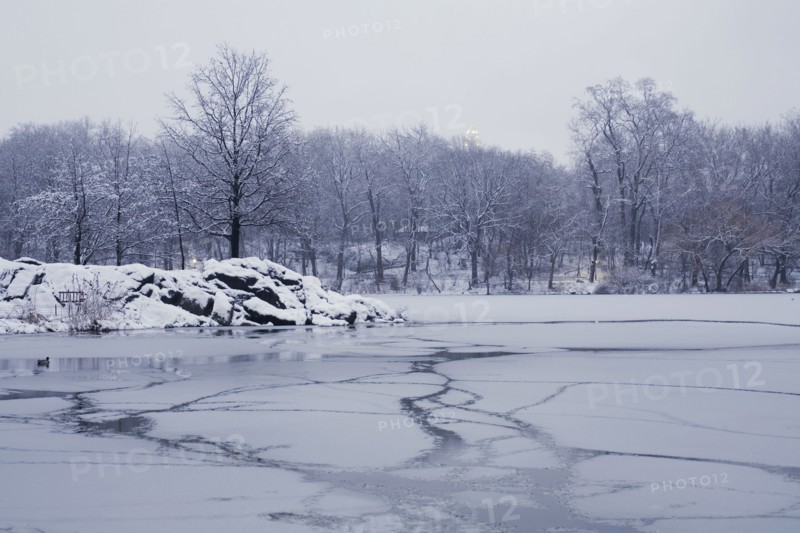 Central Park in winter. Photographe : David Engelhardt