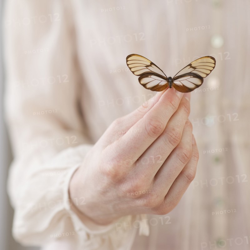 Hand holding butterfly.