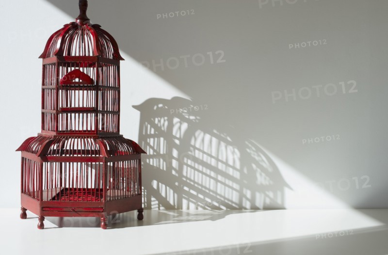 Red bird cage.