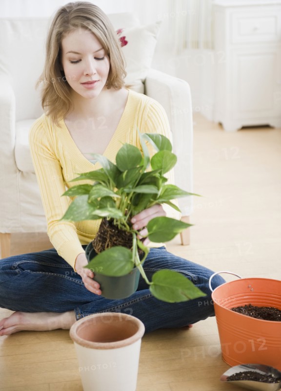 Woman replanting a houseplant. Photographe : Jamie Grill